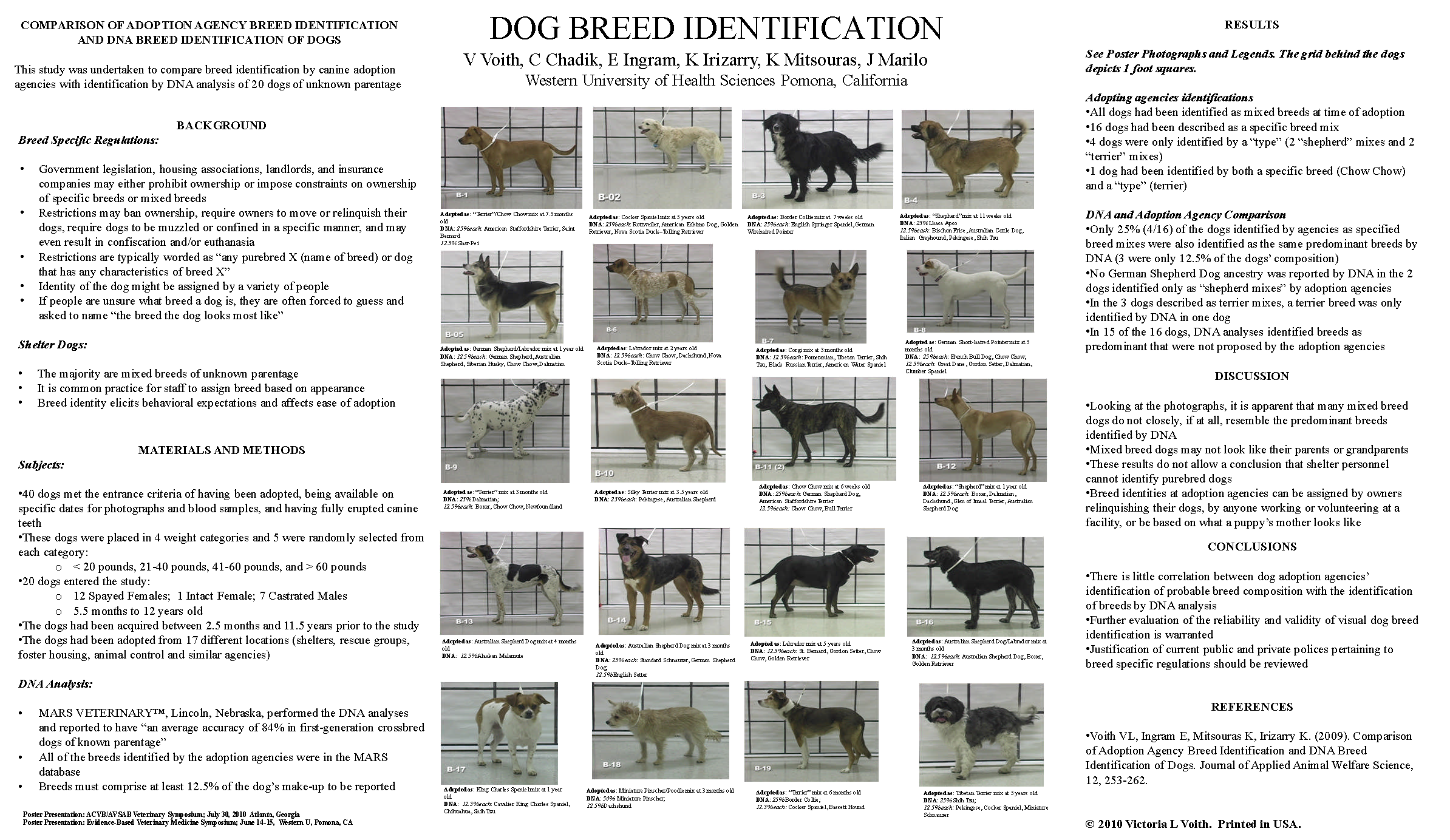 how can you tell a dogs breed