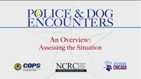 Associated Press reports on NCRC video series that keeps both family dogs and police officers safe.