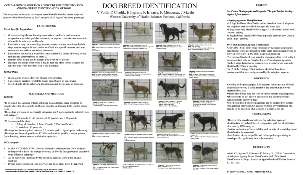 Visual Breed Identification - National Canine Research Council