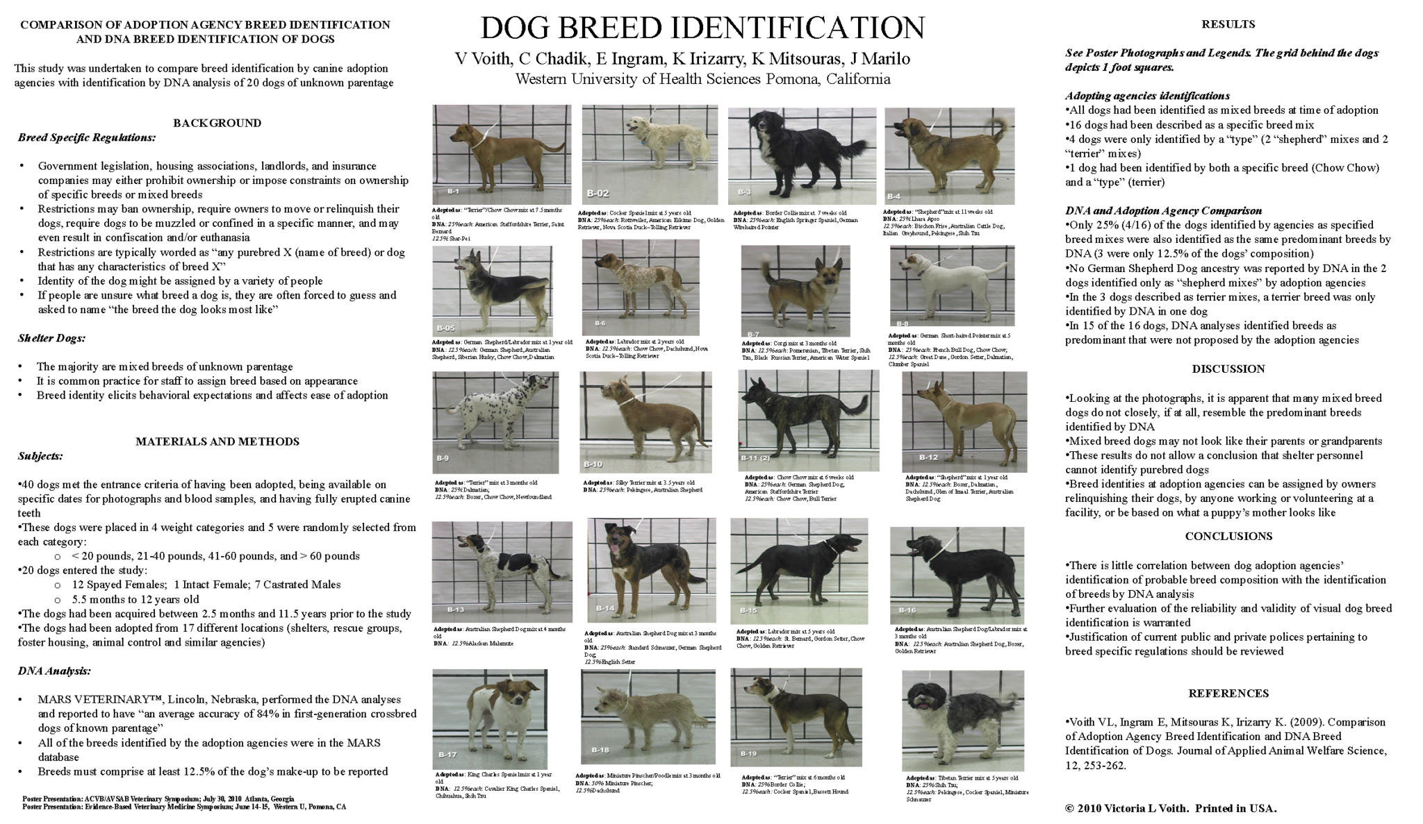 dog breed identification research paper