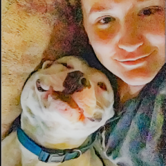 Chico was separated from his person before BSL was repealed in Sioux City IA
