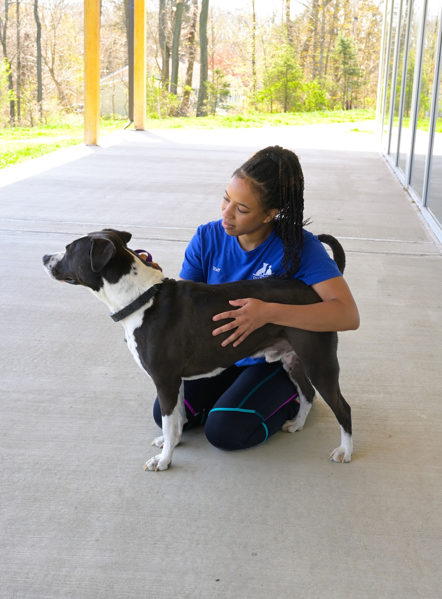 Adopt a shelter dog, Gen Z dog trainer