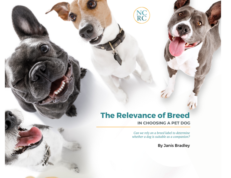 Introducing “The Relevance of Breeding in Choosing a Pet Dog”