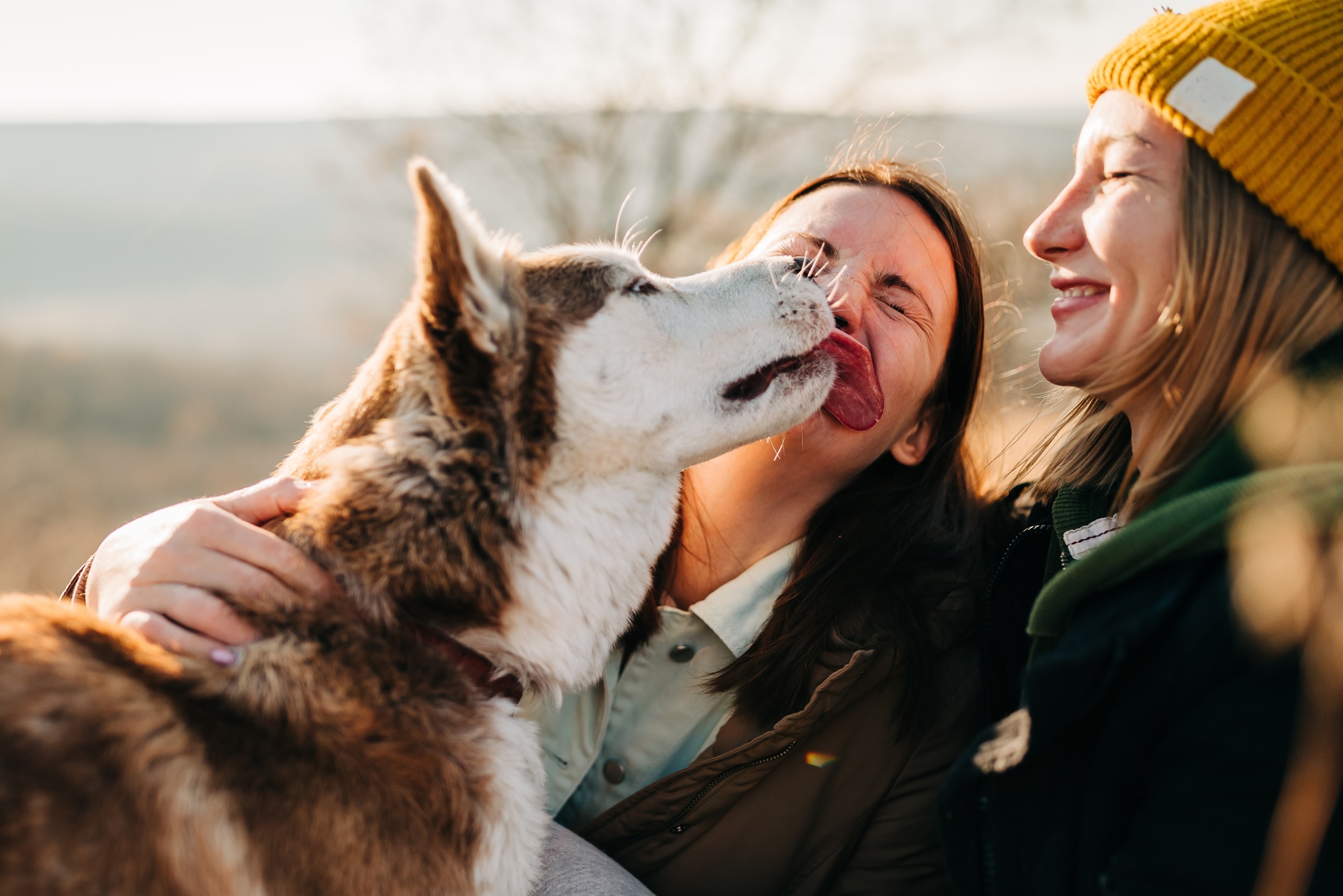 Dog husky leaks women face funny moment animal love. Fun laugh two women walk outdoors happy pet