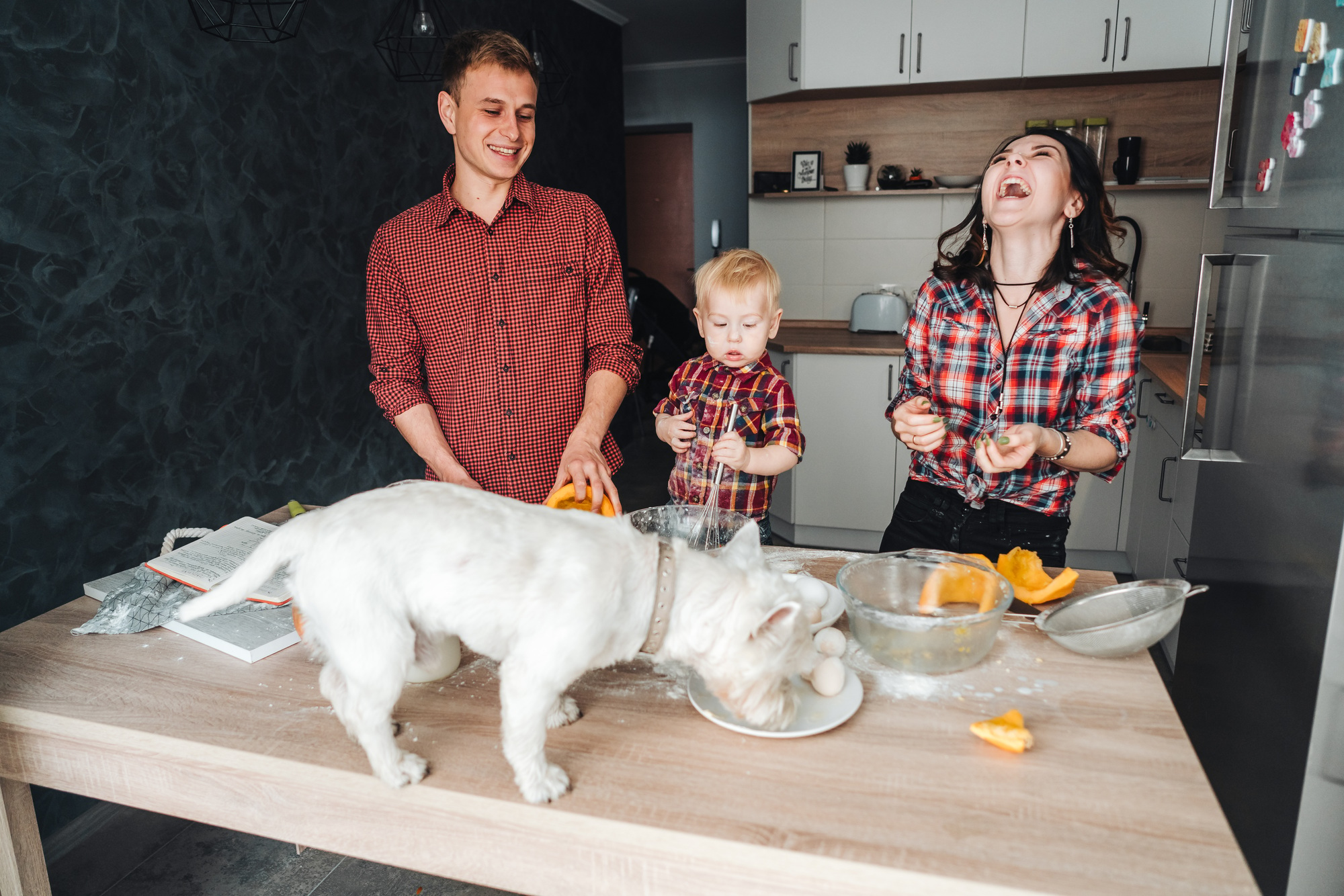 Dog on the kitchen table. Happy family in the kitchen