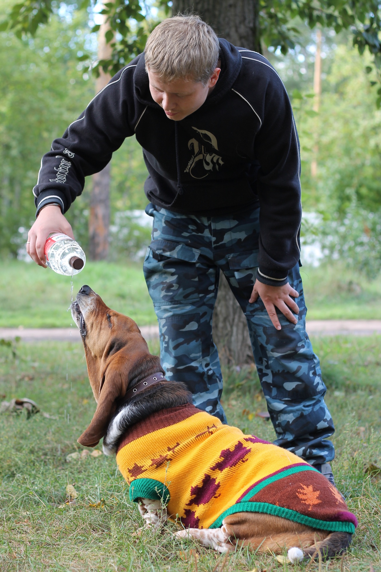 dogs care